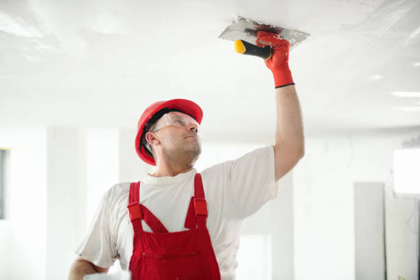 Best Repainting for Renovations  in Iowa Colony, TX